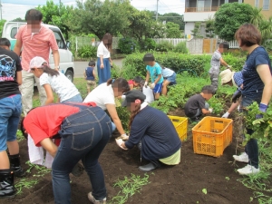 �C���[�W02