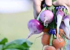 �C���[�W04